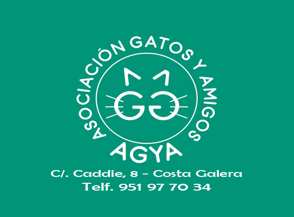 Asociación GATOS y AMIGOS Estepona