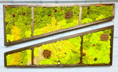 Cuadro de musgo preservado Decoración