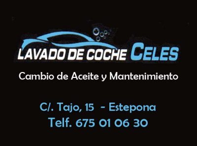 Lavado de Coches CELES