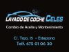 Lavado de Coches CELES