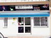 Veterinario Clínica Veterinaria Tamara Estepona