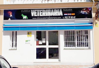 Veterinario Clínica Veterinaria Tamara Estepona