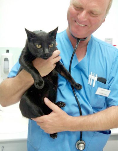 Veterinario Estepona